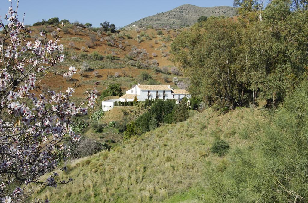 Casa de vacances Rural Montes Malaga: Cortijo La Palma *